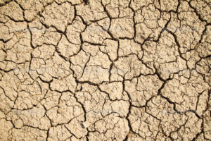 Dry cracked earth background